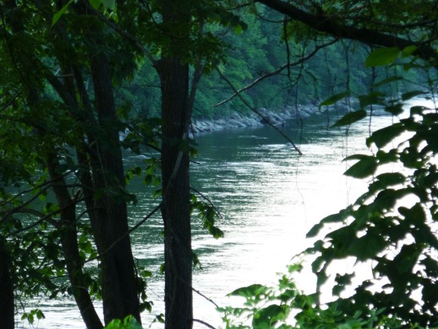 The river is low today