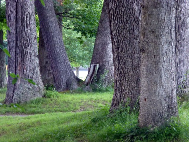 A favorite spot of mine