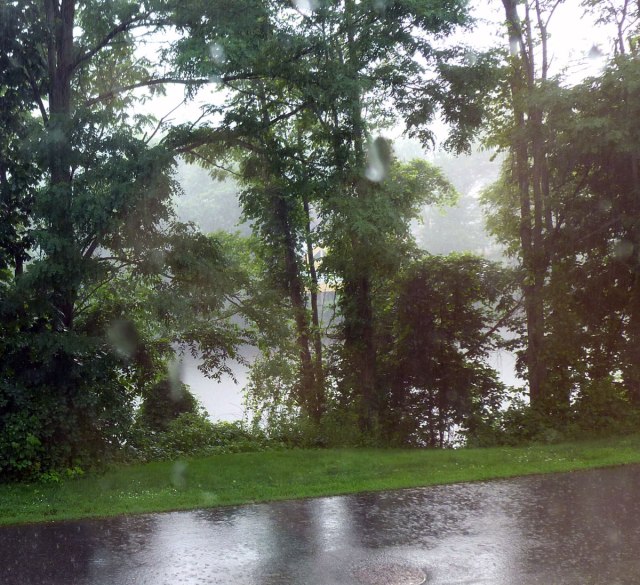 view out the window of our misty river