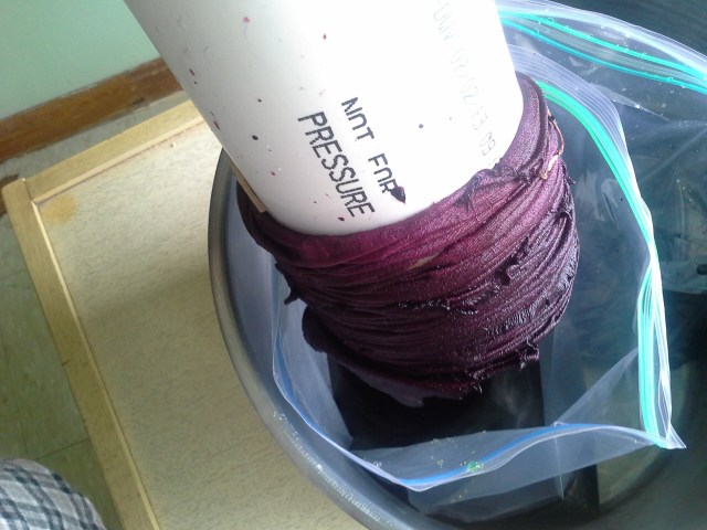 I'm lifting it out of the dye to show you, but just submerge the whole thing pole and all into the dye