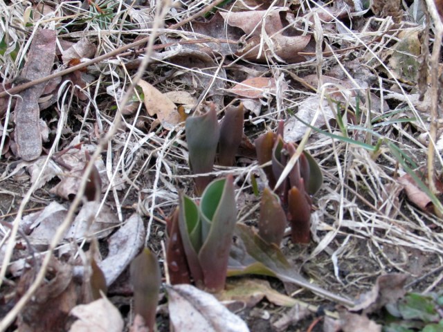 Looks like somebody else was busy making stuff today too.