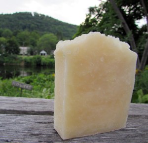 My Citrus Paradise Bar with soothing aloe vera